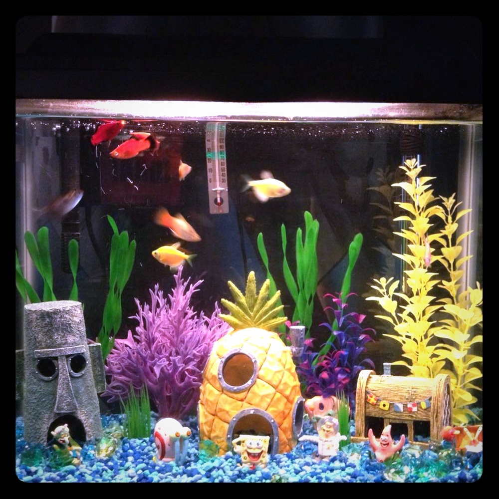 Spongebob theme fish tank